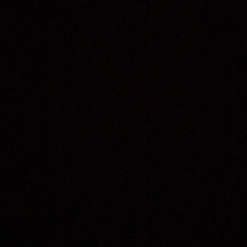 Meet your Posher, Bridget